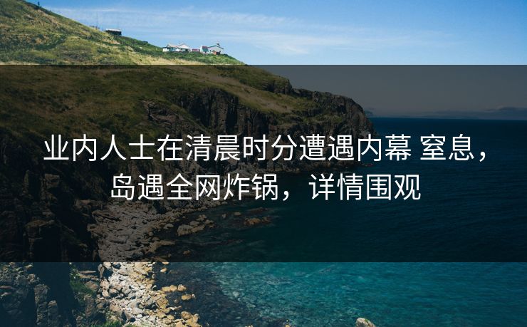 业内人士在清晨时分遭遇内幕 窒息，岛遇全网炸锅，详情围观
