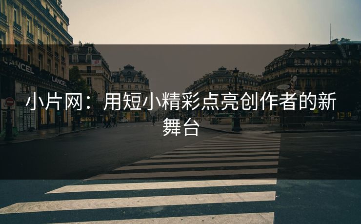 小片网：用短小精彩点亮创作者的新舞台